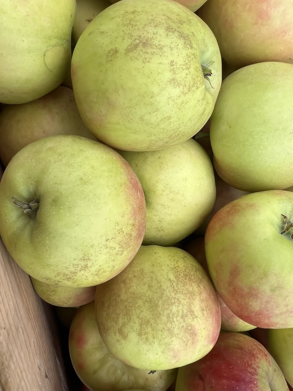 Elstar-Äpfel in einer Kiste mit deutlicher brauner Berostung auf der grüngelben Schale